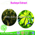 2014 China Manufacture Low Price Buckeye Seed Extract Aescine 20%-98% Aescine CAS:6805-41-0